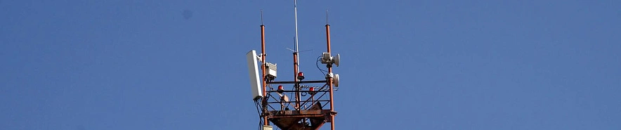 Фото: Сергей Егоров