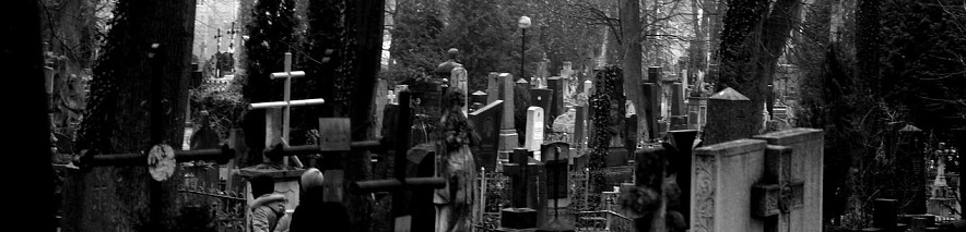 Фото: Сергей Егоров