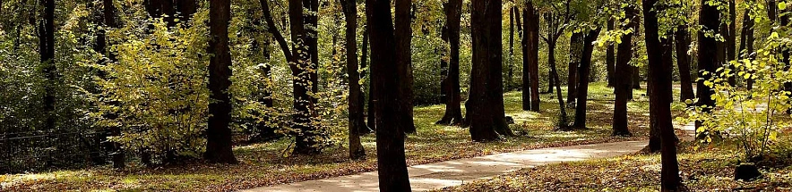 Фото: Сергей Егоров