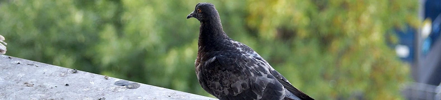 Фото: Сергей Кудрин