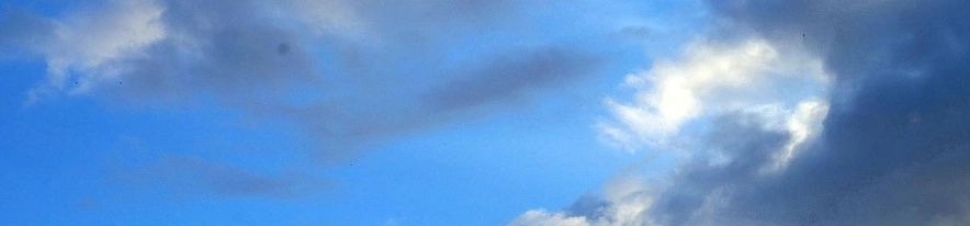 Фото: Сергей Егоров