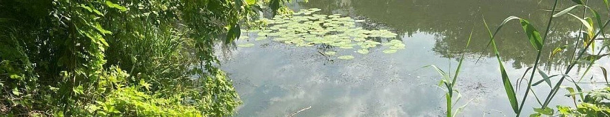 Фото: МЧС Белгородской области