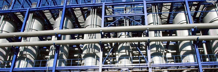 Фото: Виктория Передерий