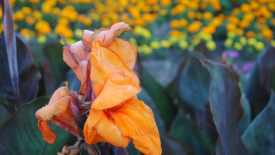 Фото: Сергей Егоров