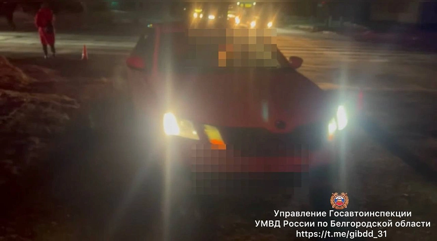 Фото: пресс-служба Госавтоинспекции Белгородской области