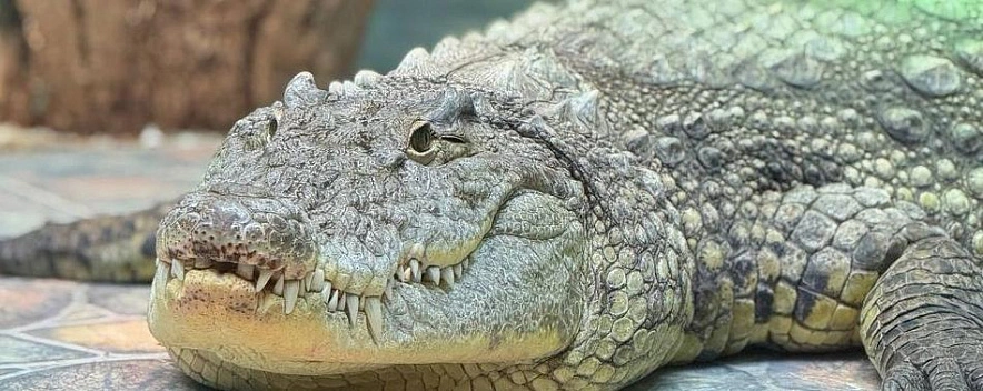 Фото: архив Белгородского зоопарка