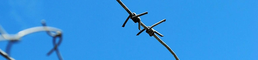 Фото: Оксана Булгакова