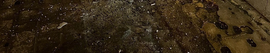 Фото: Анна Григор