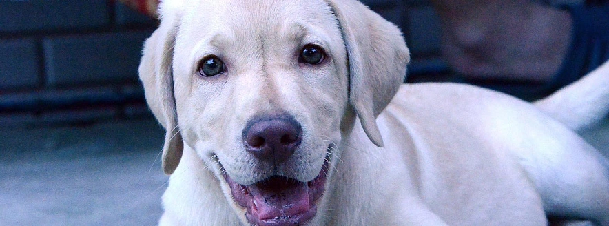 Фото: Сергей Егоров 