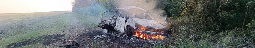 Фото: телеграмм-канал Вячеслава Гладкова