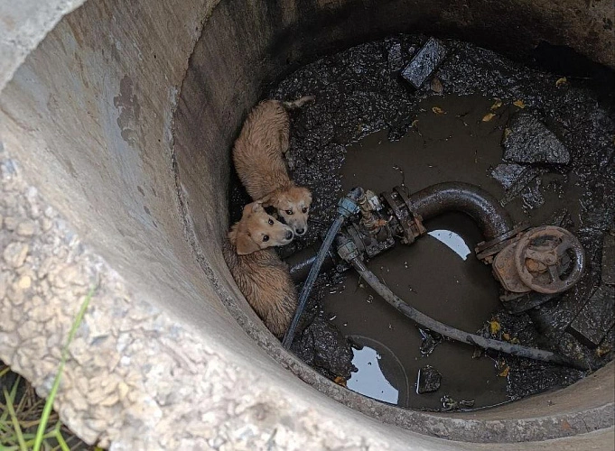 Фото: пресс-служба МЧС Белгородской области