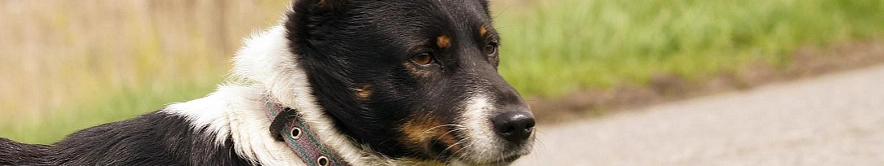 Фото: Сергей Егоров