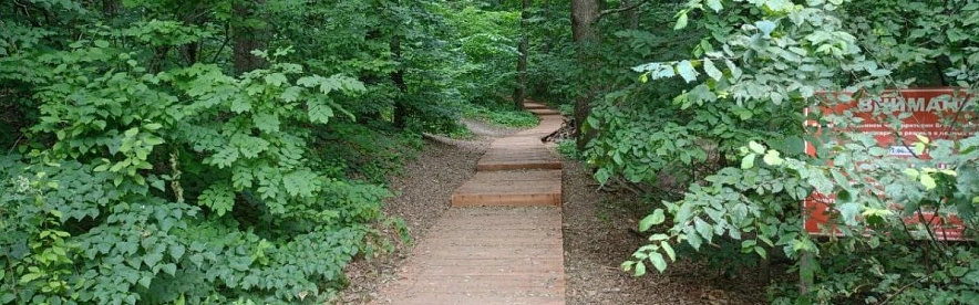 Фото: правительство Белгородской области