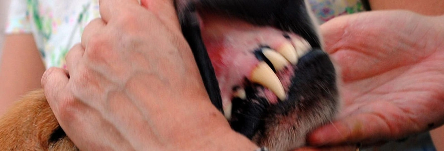 Фото: Сергей Егоров