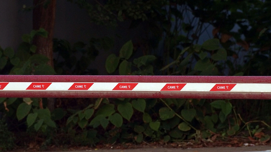 Фото: Сергей Егоров