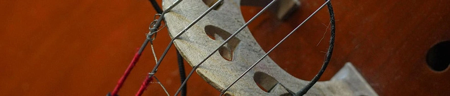 Фото: Андрей Закоморный