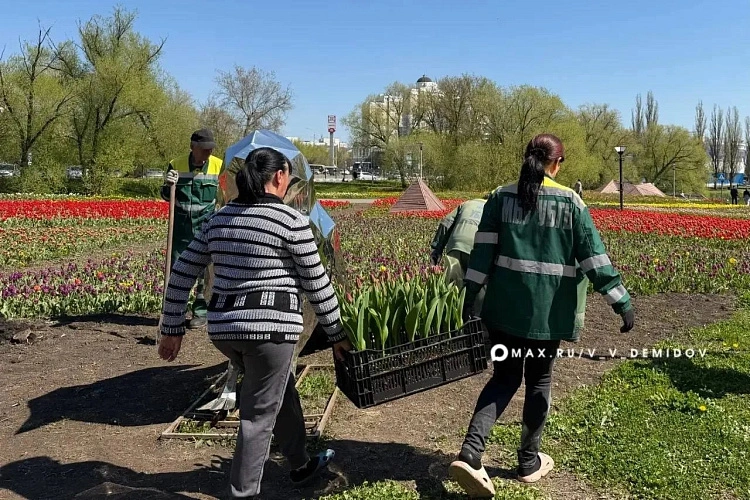 Фото: соцсети Валентина Демидова