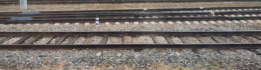 Фото: Сергей Егоров