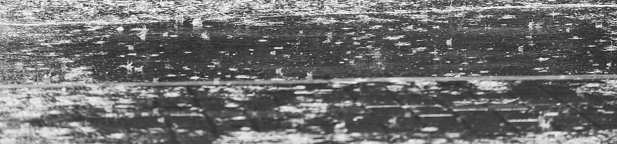 Фото: Сергей Егоров