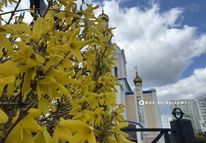 Фото: пресс-служба администрации Белгорода