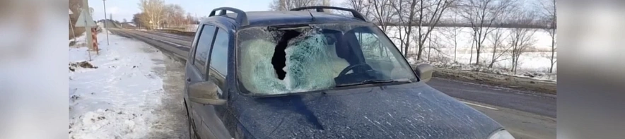 Фото: ГИБДД Воронежской области 