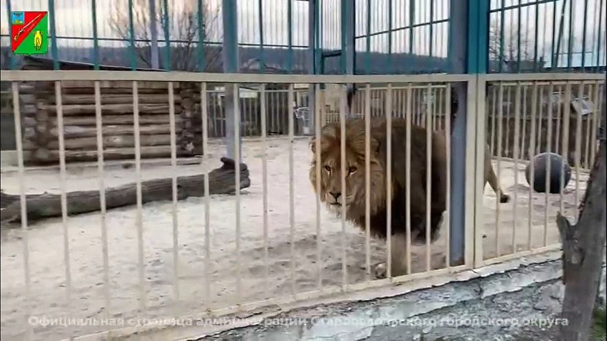 Фото: администрация Старого Оскола