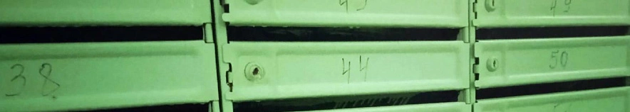 Фото: Сергей Егоров