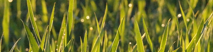 Фото: Сергей Егоров 