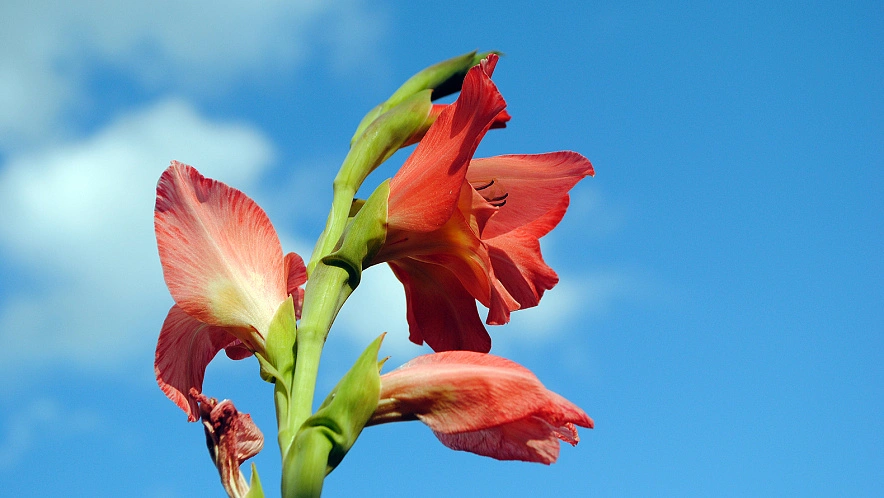 Фото: Сергей Егоров