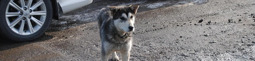 Фото: Анна Григор, архив