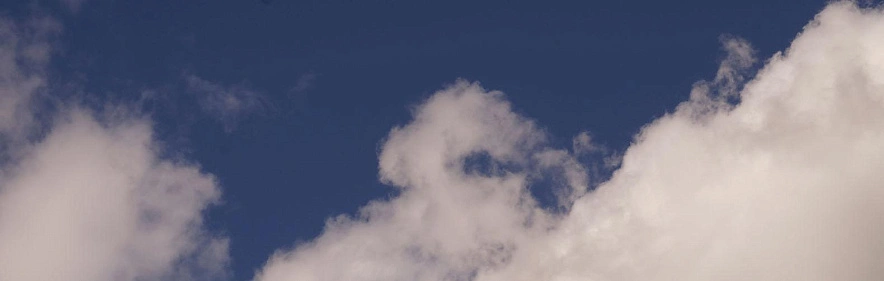 Фото: Сергей Егоров