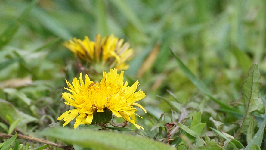 Фото: Сергей Егоров