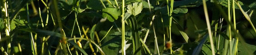 Фото: Сергей Егоров