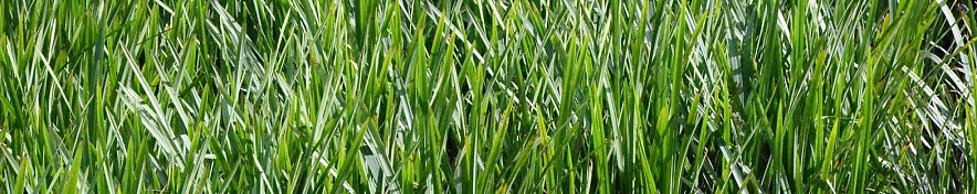 Фото: Сергей Егоров