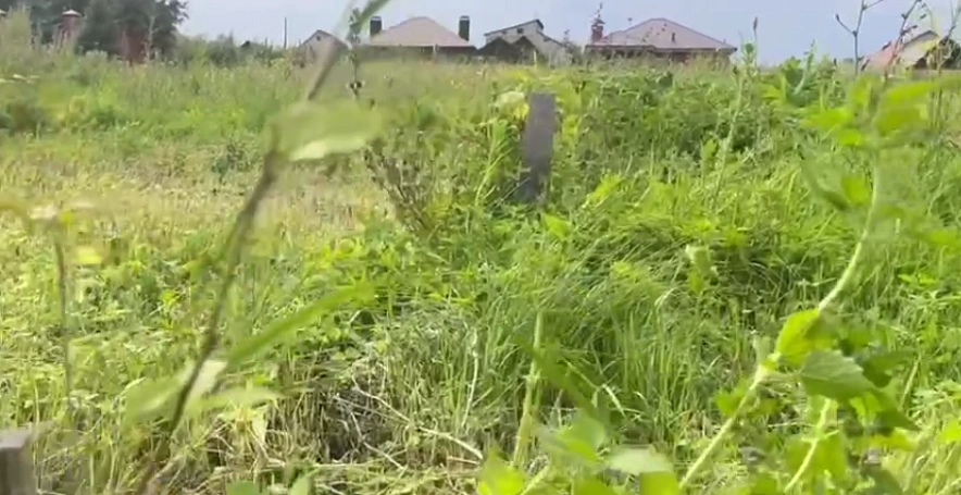 Фото: "Народный фронт"