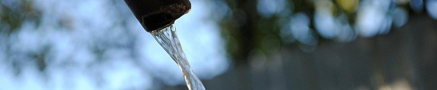 Фото: Сергей Егоров 