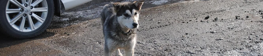 Фото: Анна Григор