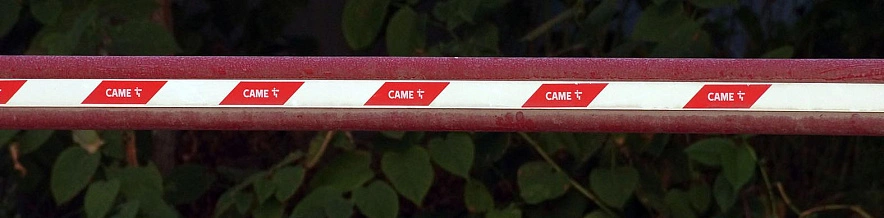 Фото: Сергей Егоров