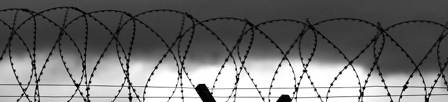 Фото: Сергей Егоров