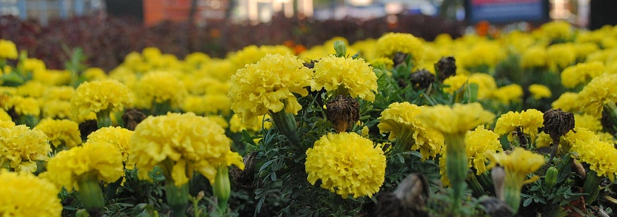 Фото: Сергей Егоров