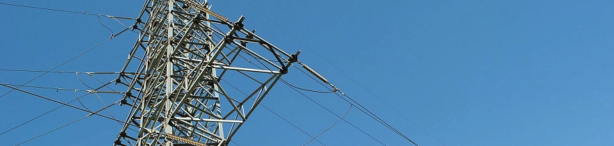 Фото: Сергей Егоров 