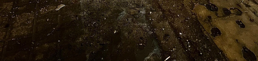 Фото: Анна Григор