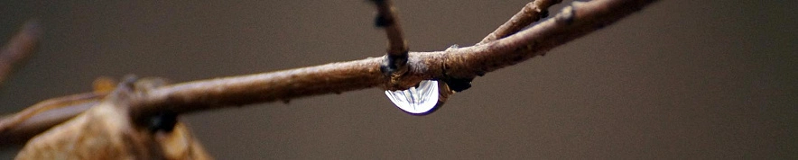 Фото: Сергей Егоров