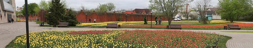 Фото: Антон Вергун