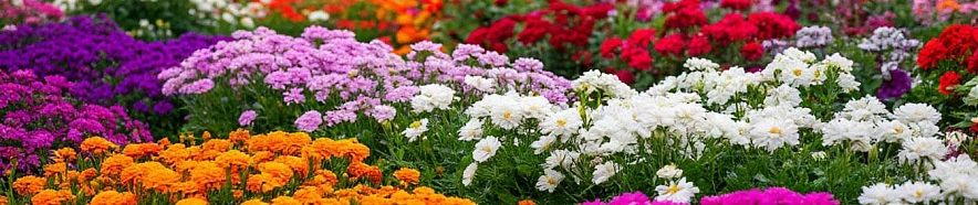 Фото: Шедеврум