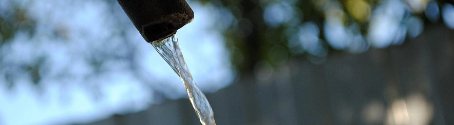 Фото: Сергей Егоров