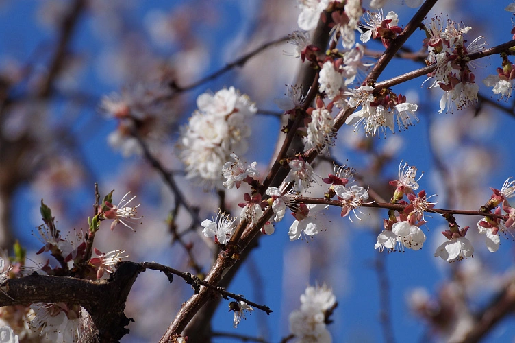 Фото: Сергей Егоров