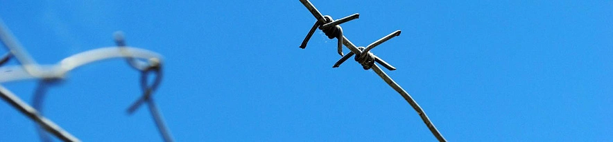 Фото: Оксана Булгакова