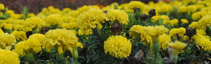 Фото: Сергей Егоров