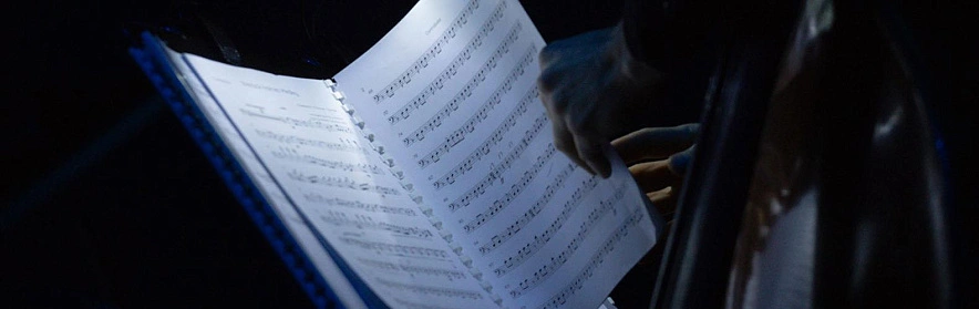 Фото: Андрей Закоморный